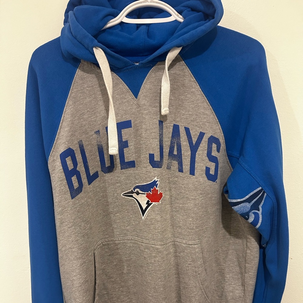 Blue Jay Hoodie - Blue and Gray